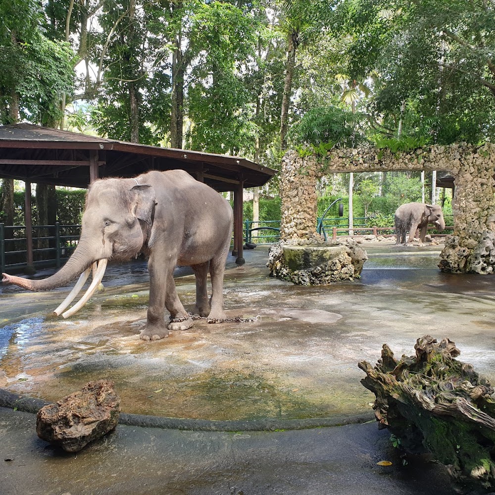 Mason Adventure Park in Payangan — activity in Bali