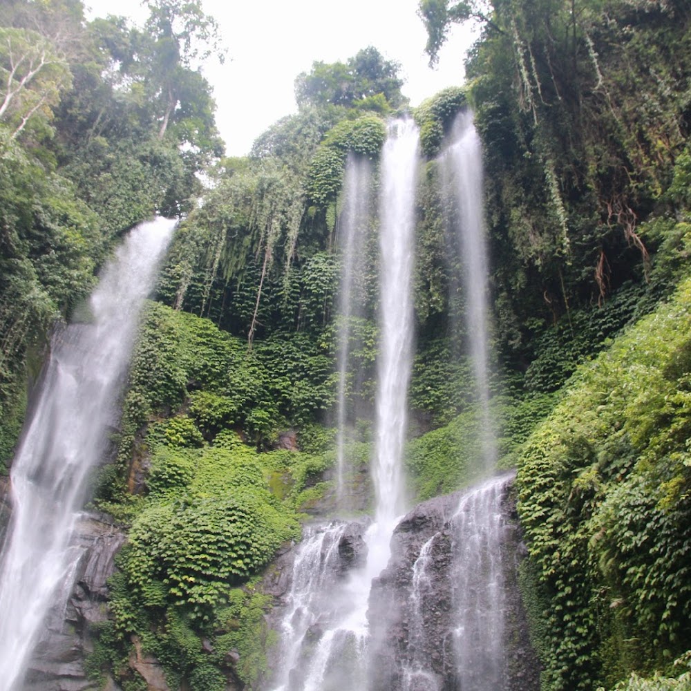 Sekumpul Waterfall Trek in North Bali — activity in Bali