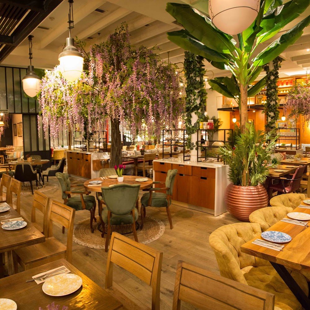Lolita Café in Gràcia — cafe in Barcelona