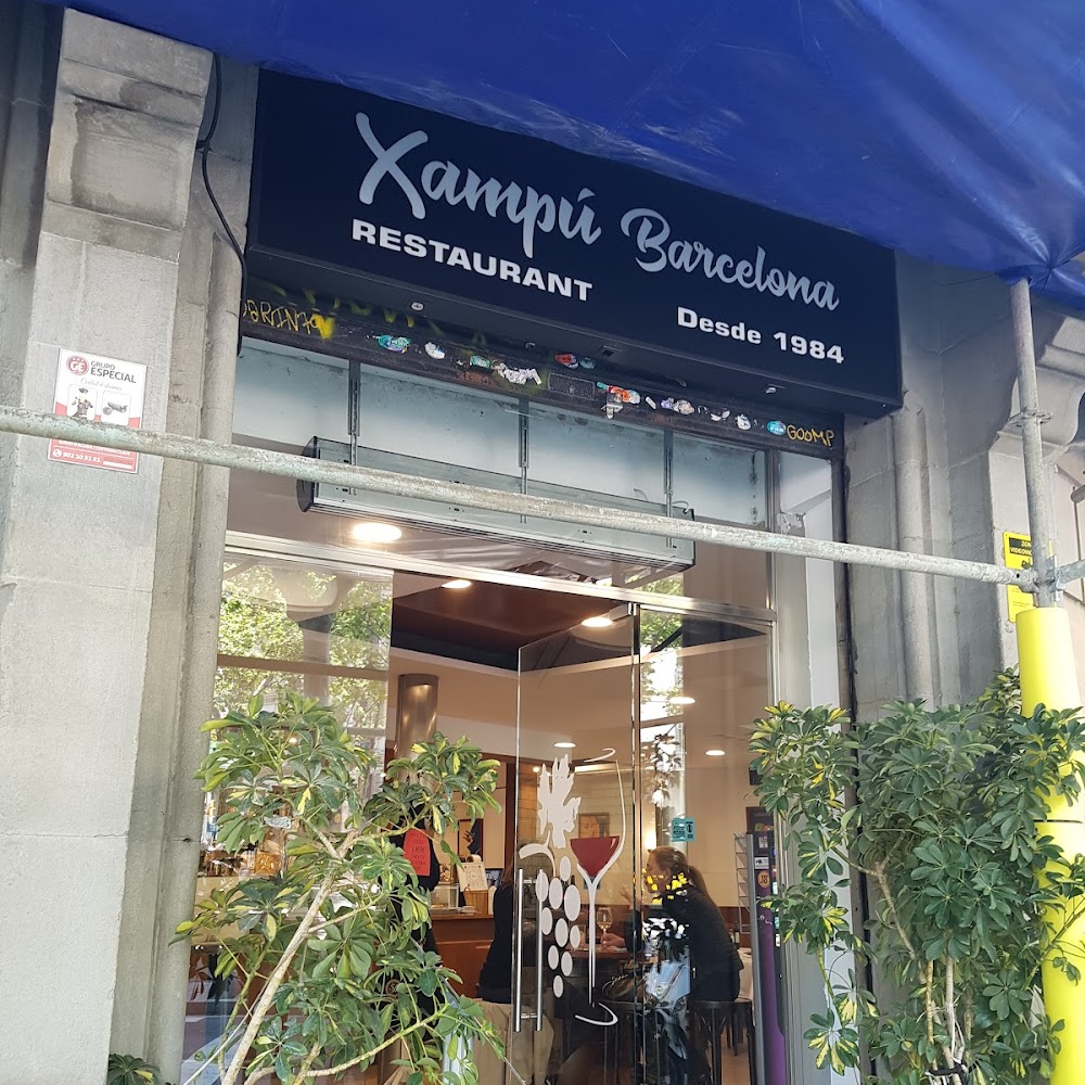 Xampú Xampany in Born — bar in Barcelona