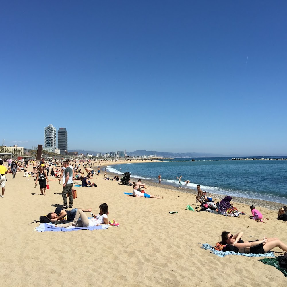 Barcelona Beach in Barceloneta — activity in Barcelona