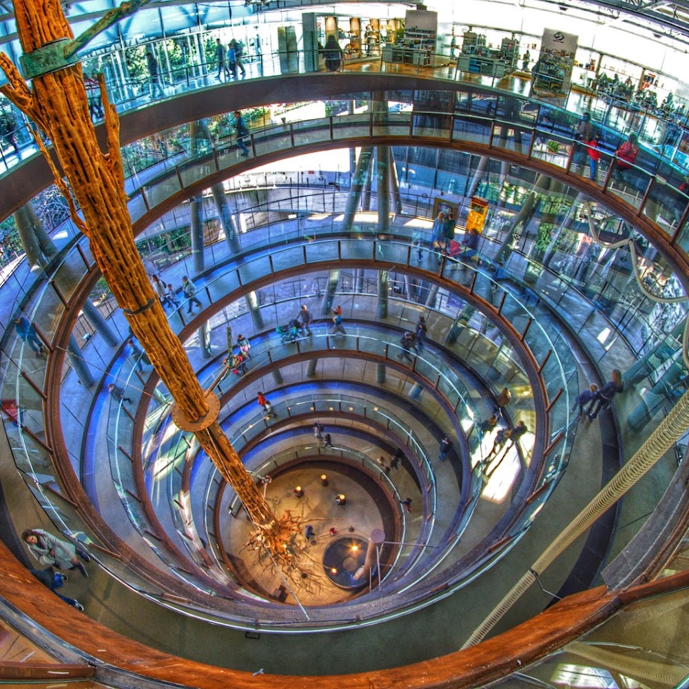 CosmoCaixa Science Museum in Sant Gervasi — activity in Barcelona