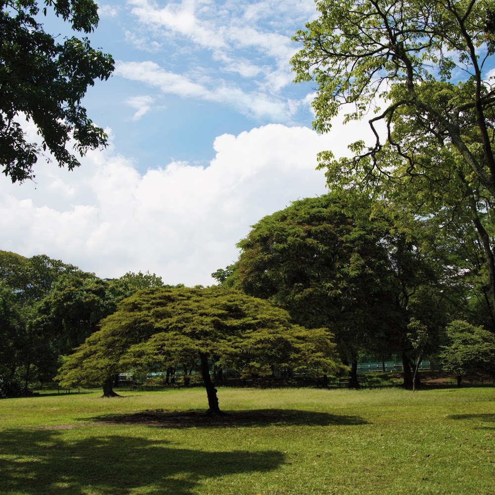 Jardín Botánico de Medellín in Universidad — activity in Colombia