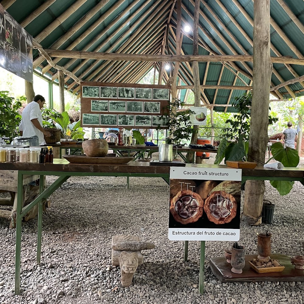 Bread & Chocolate in Puerto Viejo — cafe in Costa Rica