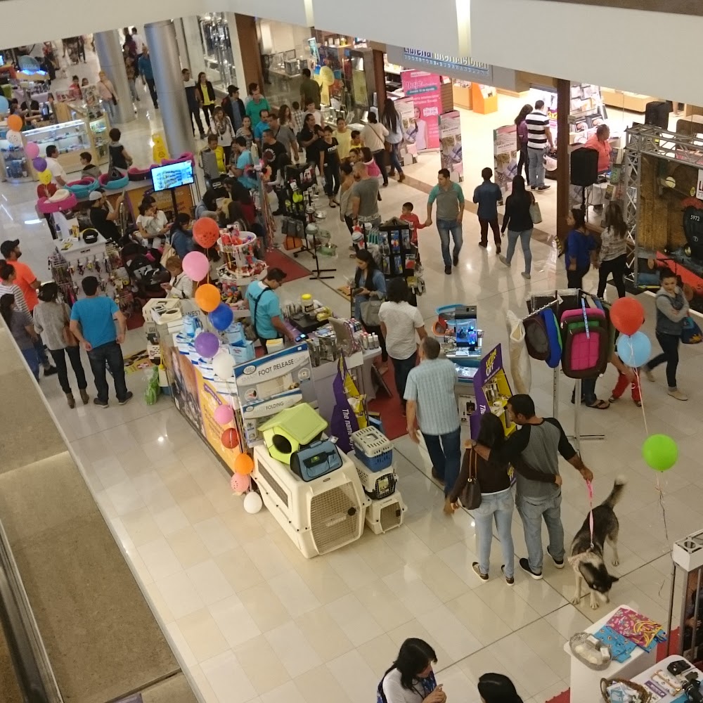 Multiplaza Mall in Escazú — shop in Costa Rica