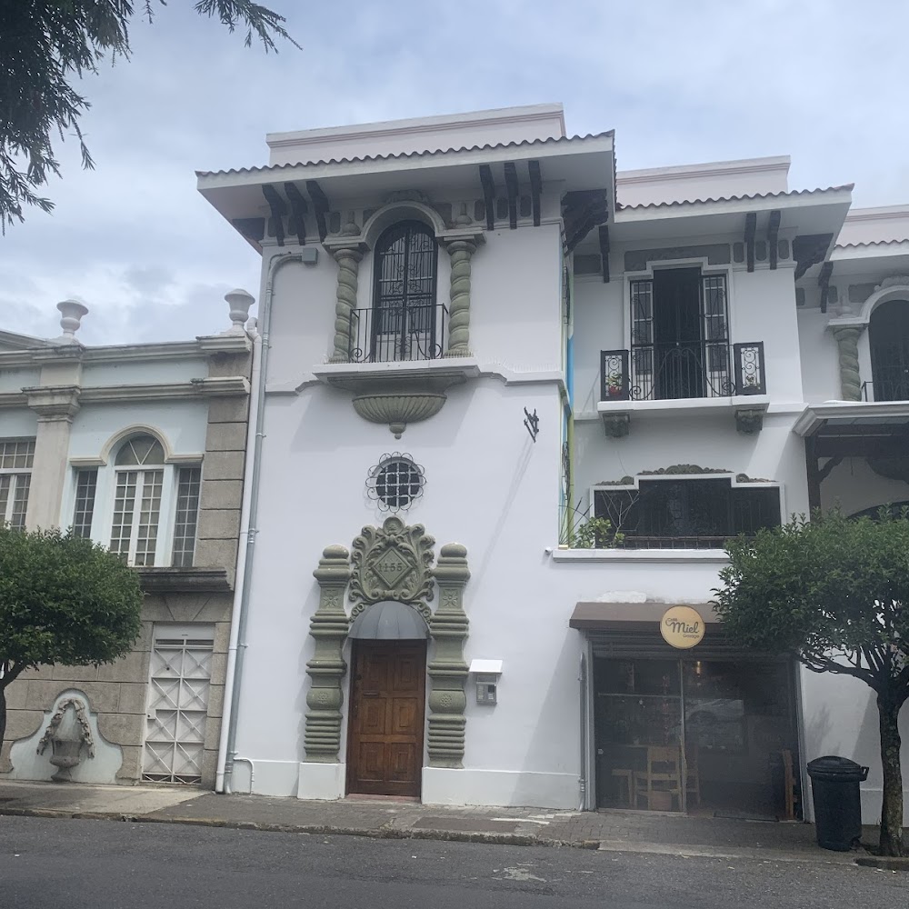 Barrio Bird Walking Tours in Barrio Escalante — activity in Costa Rica