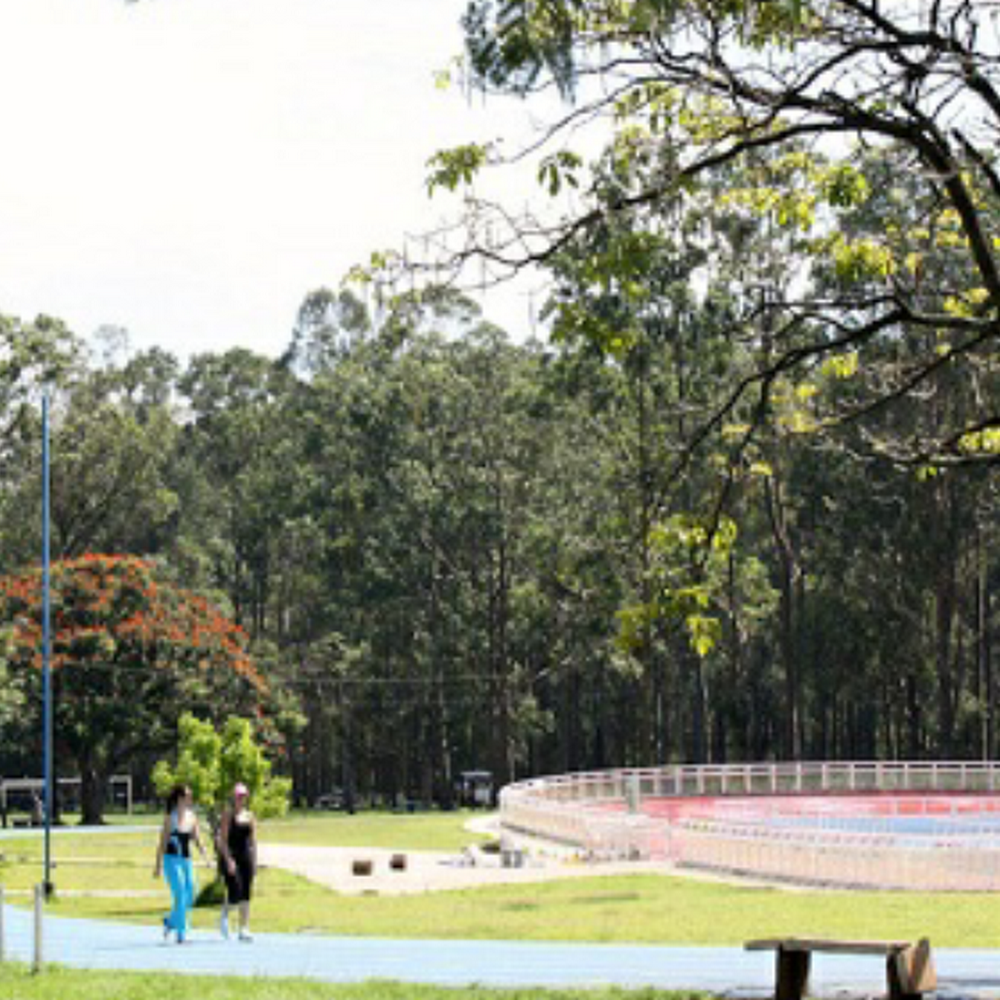 Parque Metropolitano La Sabana in La Sabana — activity in Costa Rica