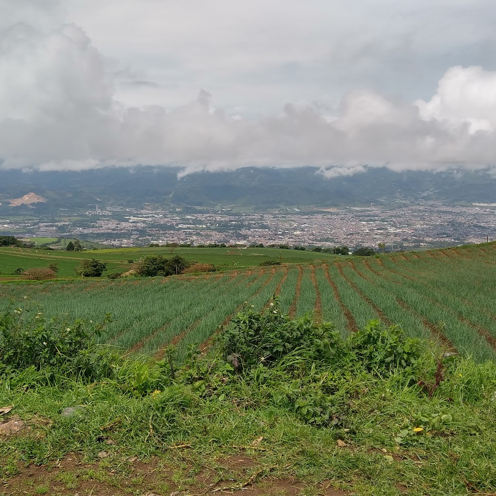 Surcos Trading Company in Santa Ana — shop in Costa Rica