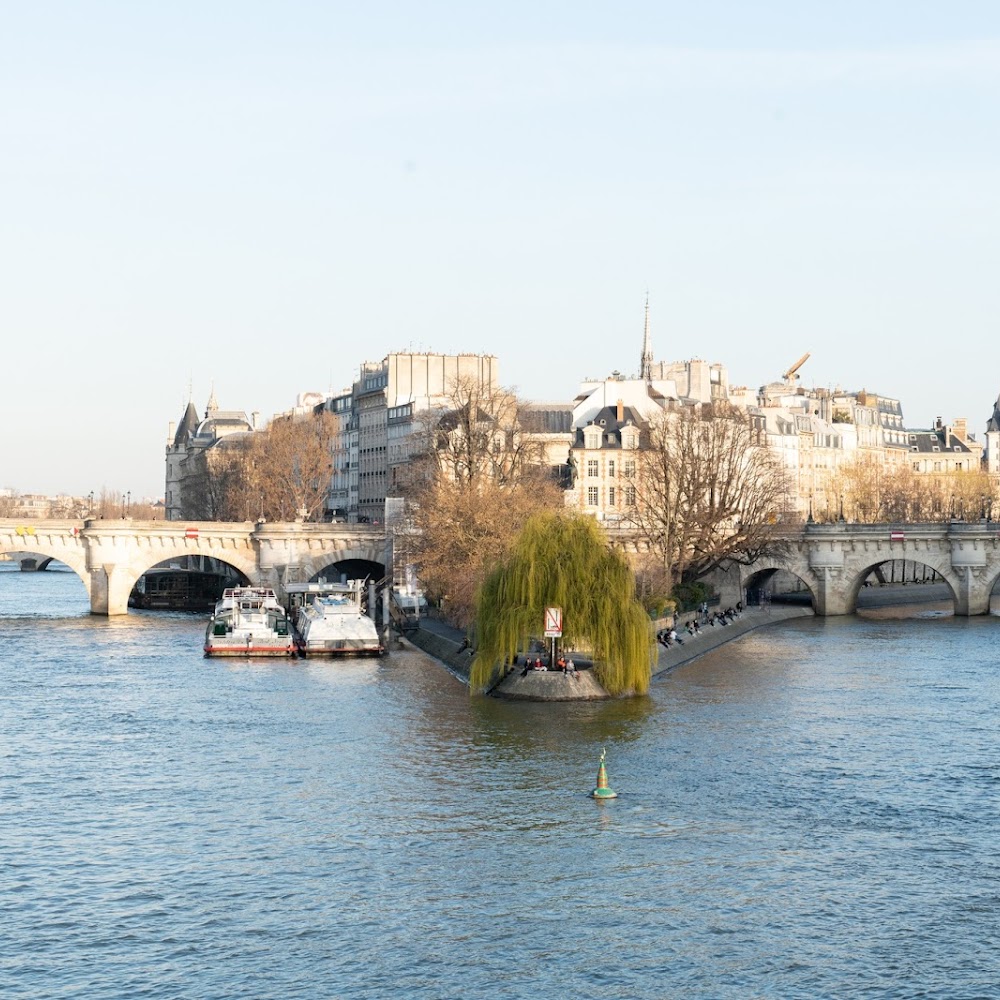 Seine River Cruise in Multiple — activity in Paris