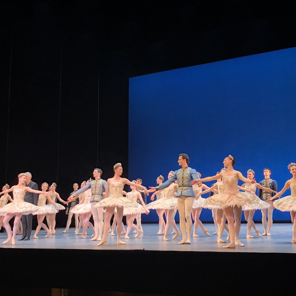 Ballet at Palais Garnier in Opéra — activity in Paris