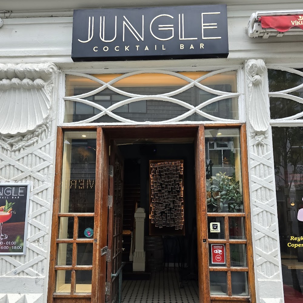 Jungle Cocktail Bar in Downtown — bar in Iceland