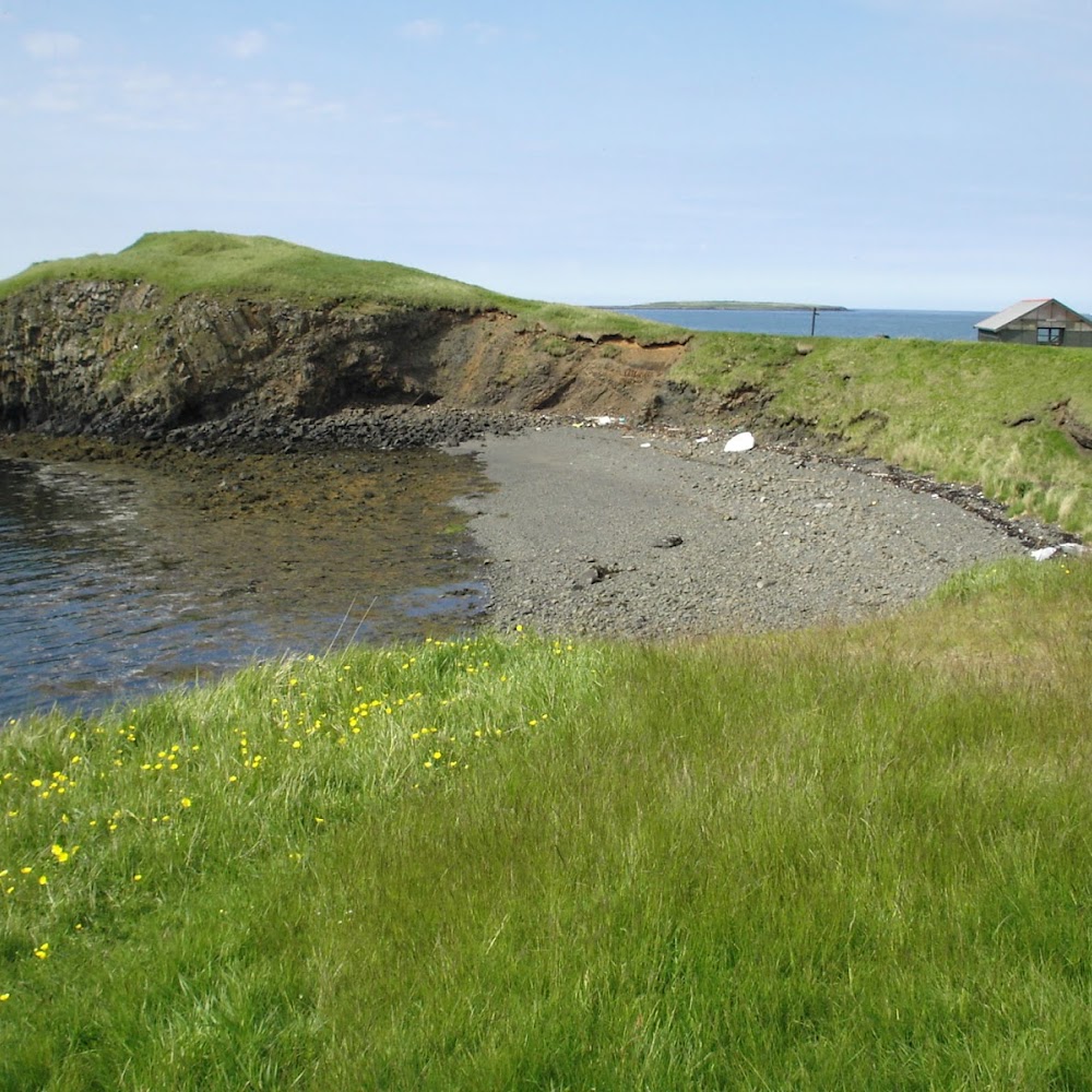 Viðey Island in Viðey — activity in Iceland