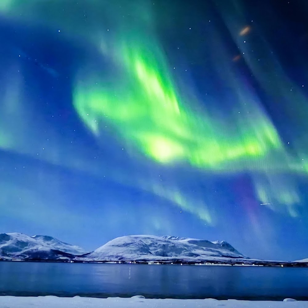 Aurora Reykjavik in Grandi — activity in Iceland