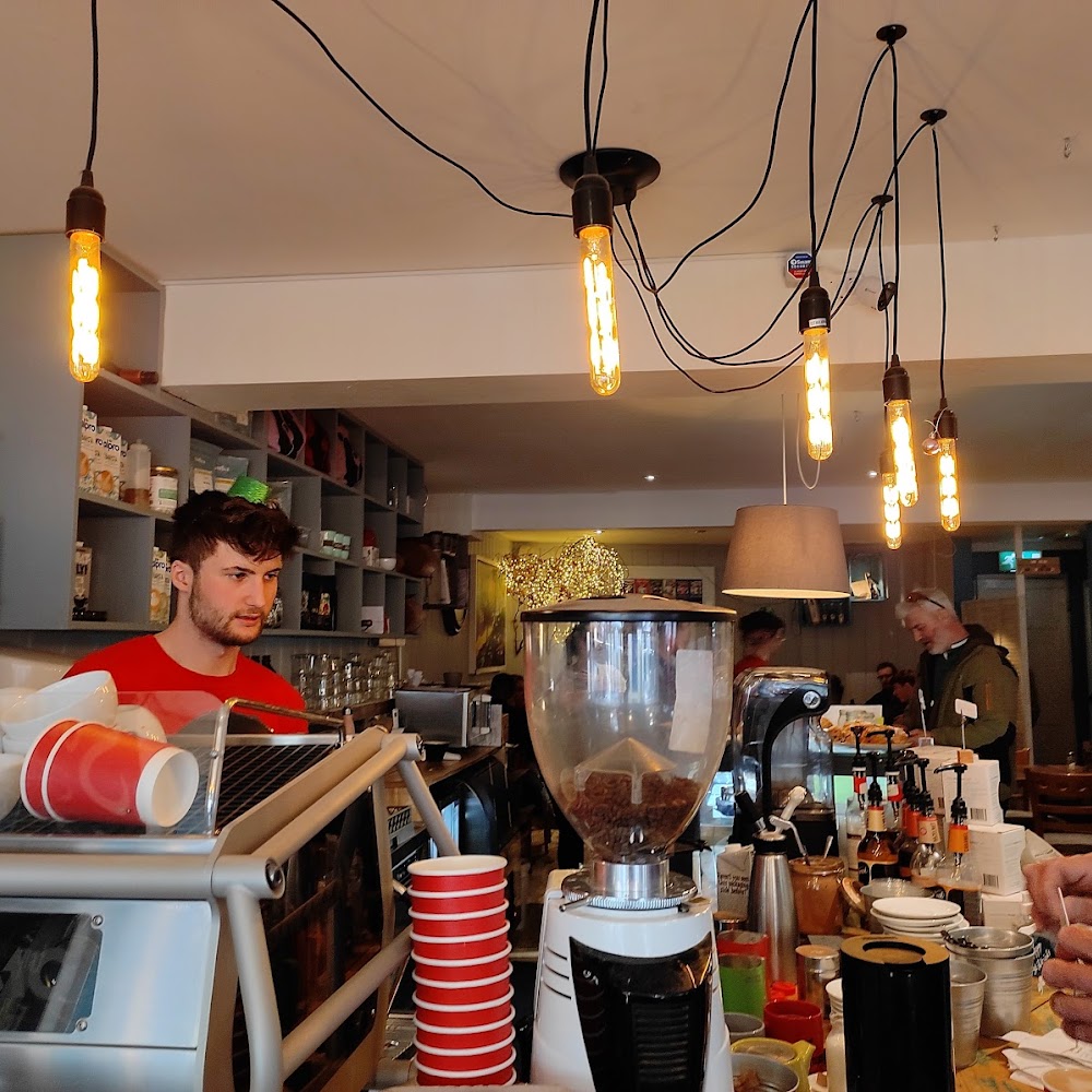The Hungry Bear in Dominick Street — cafe in Ireland