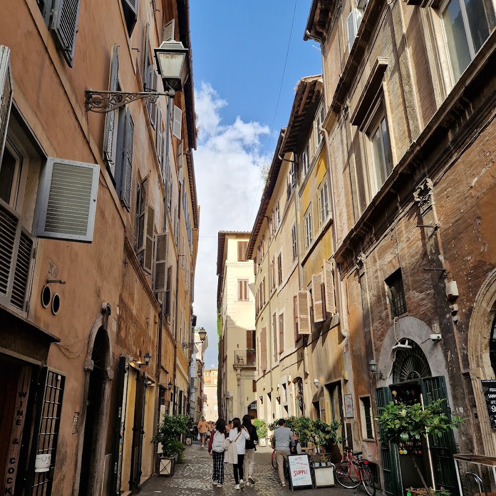 Via del Governo Vecchio in Centro Storico — shop in Rome