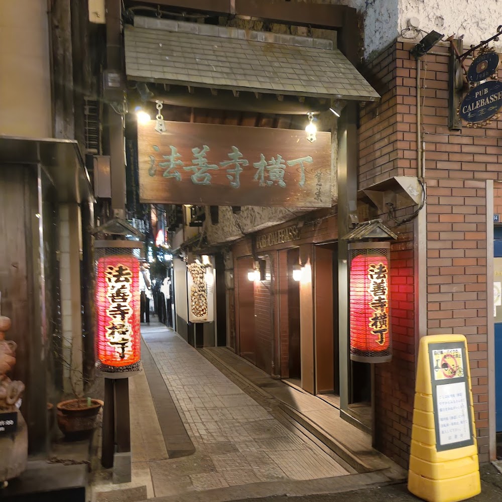 Hozenji Yokocho in Namba — activity in Osaka