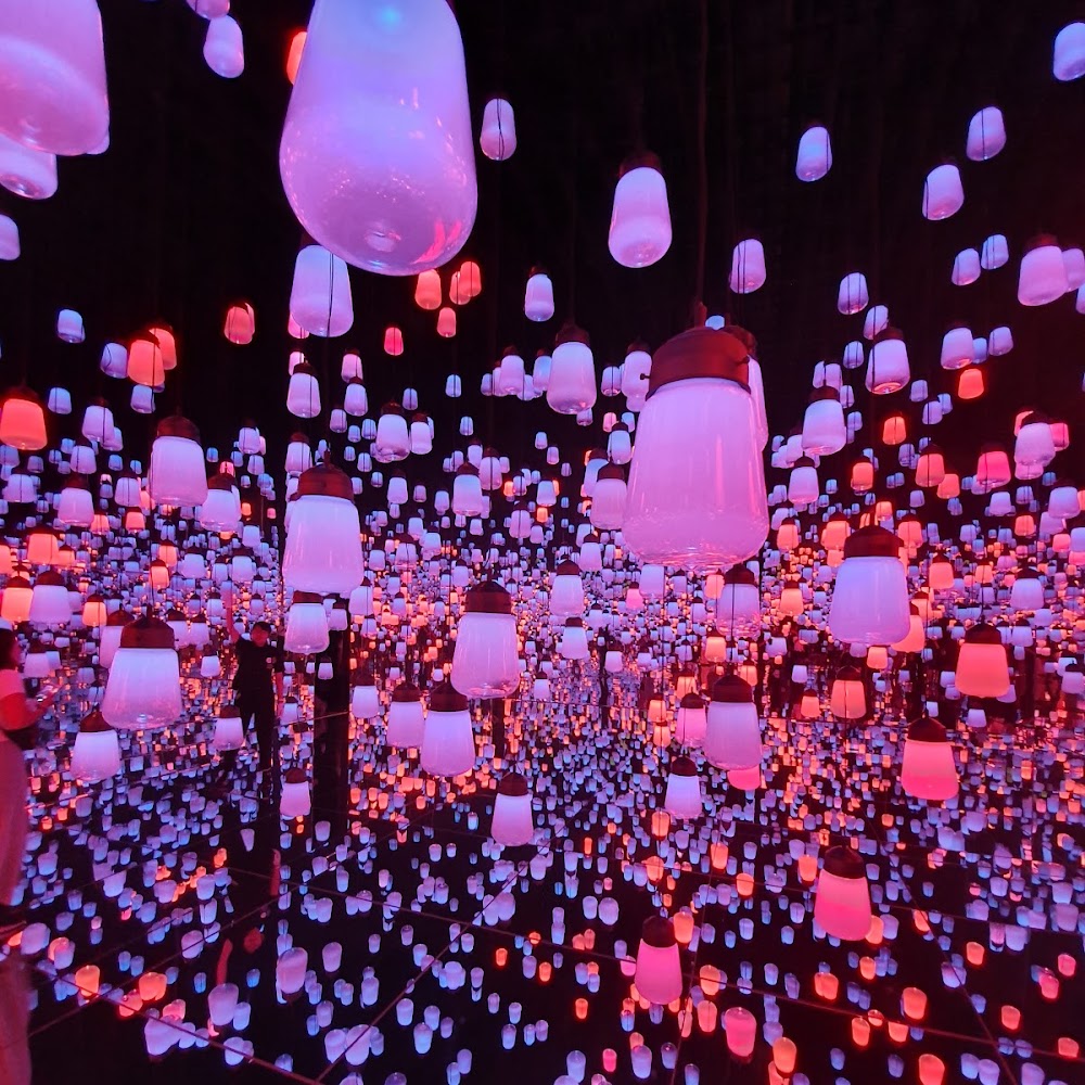 TeamLab Borderless in Odaiba — activity in Tokyo