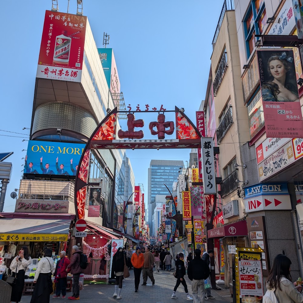 Ameya-Yokocho Market in Ueno — restaurant in Japan