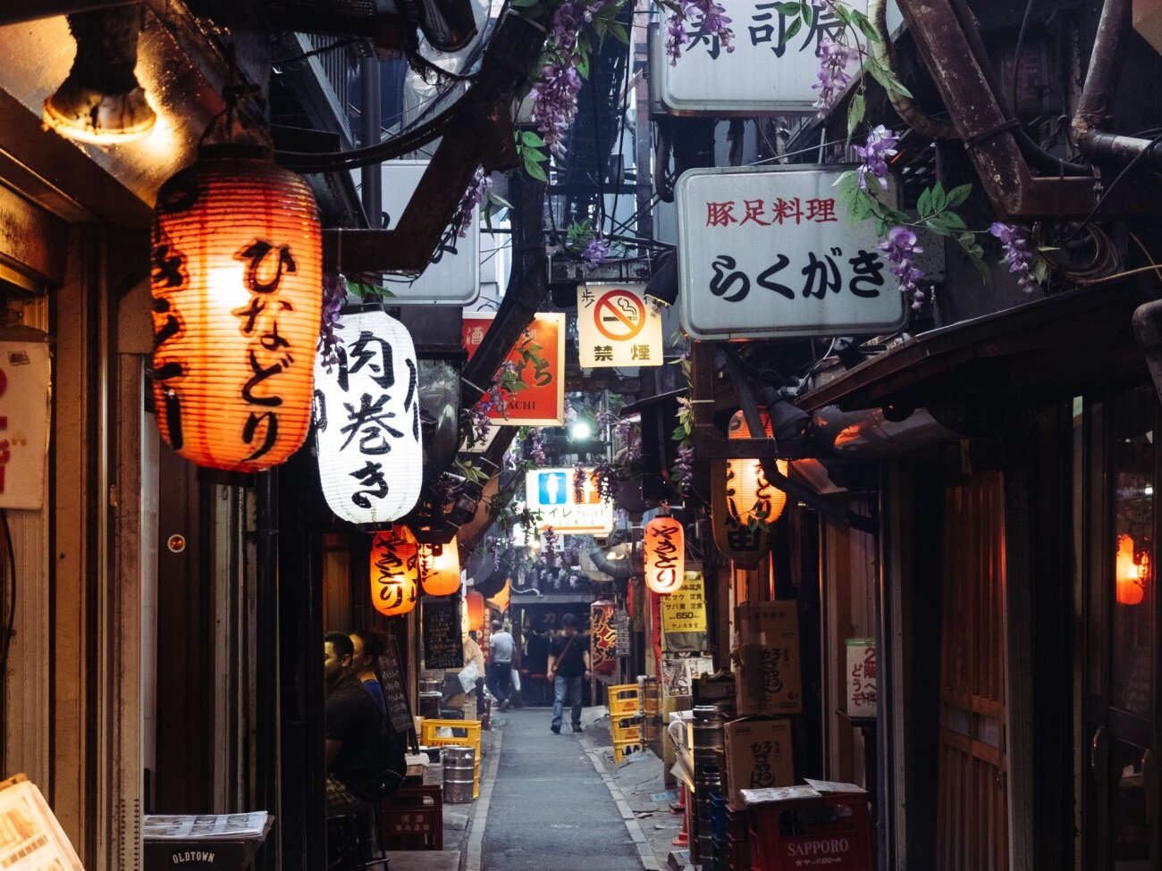 Omoide Yokocho in Shinjuku — activity in Japan