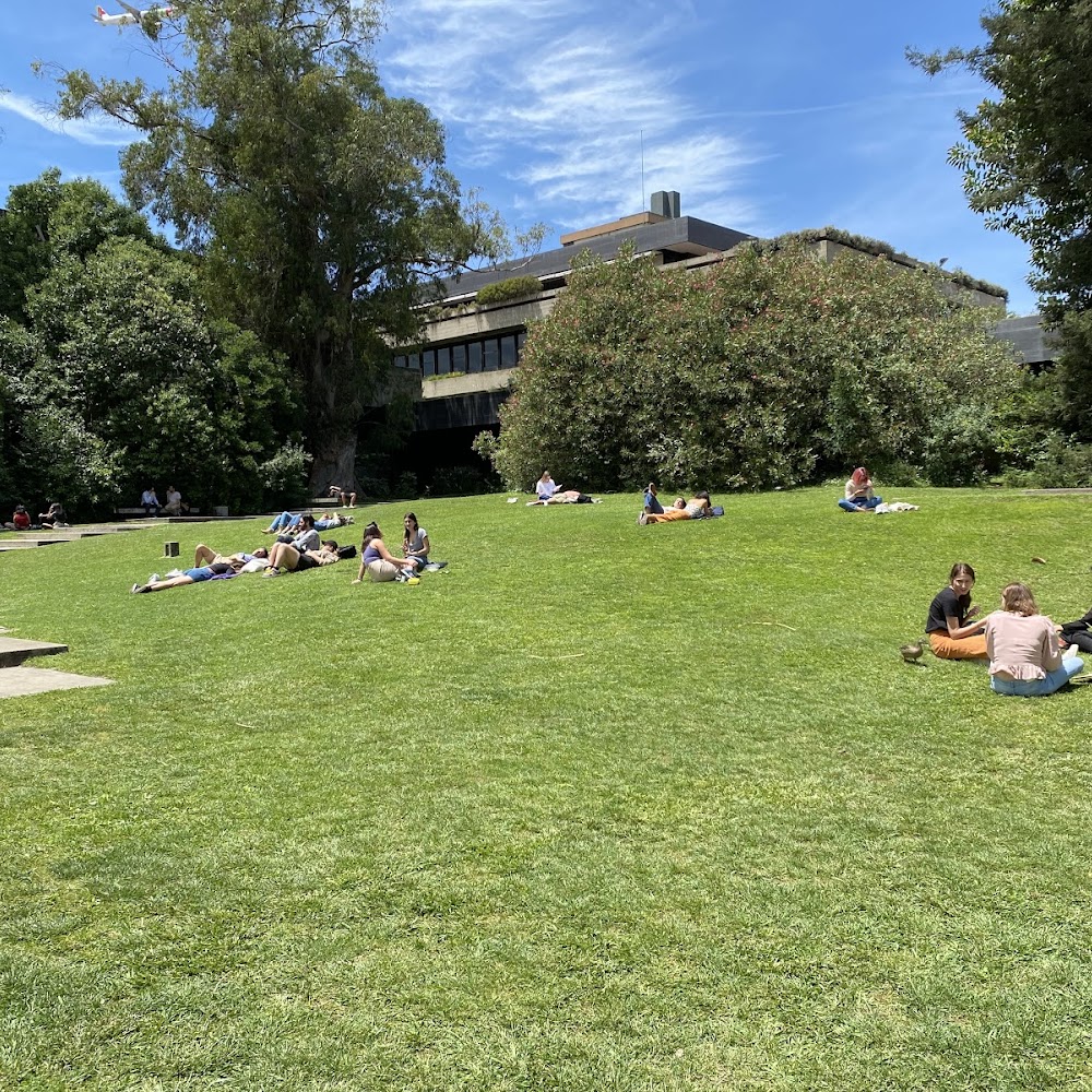 Calouste Gulbenkian Museum Garden in Avenidas Novas — activity in Lisbon