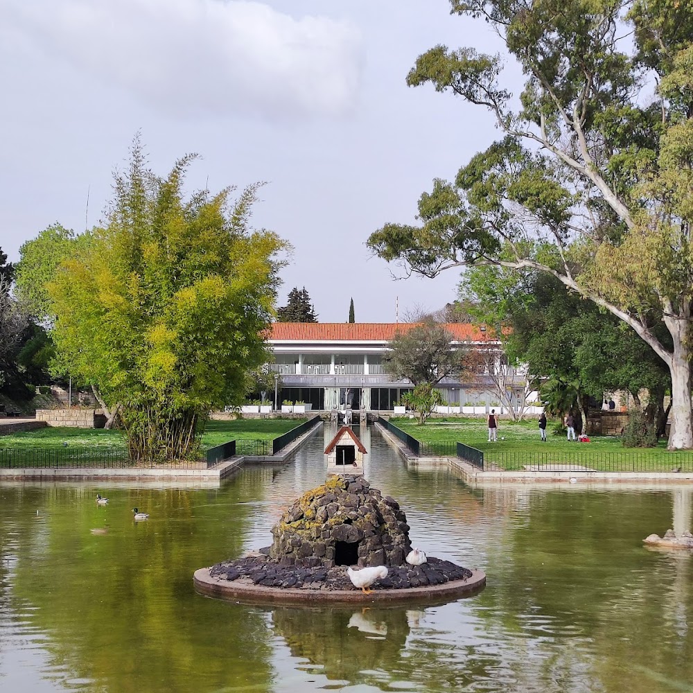 Monsanto Forest Park in Monsanto — activity in Lisbon