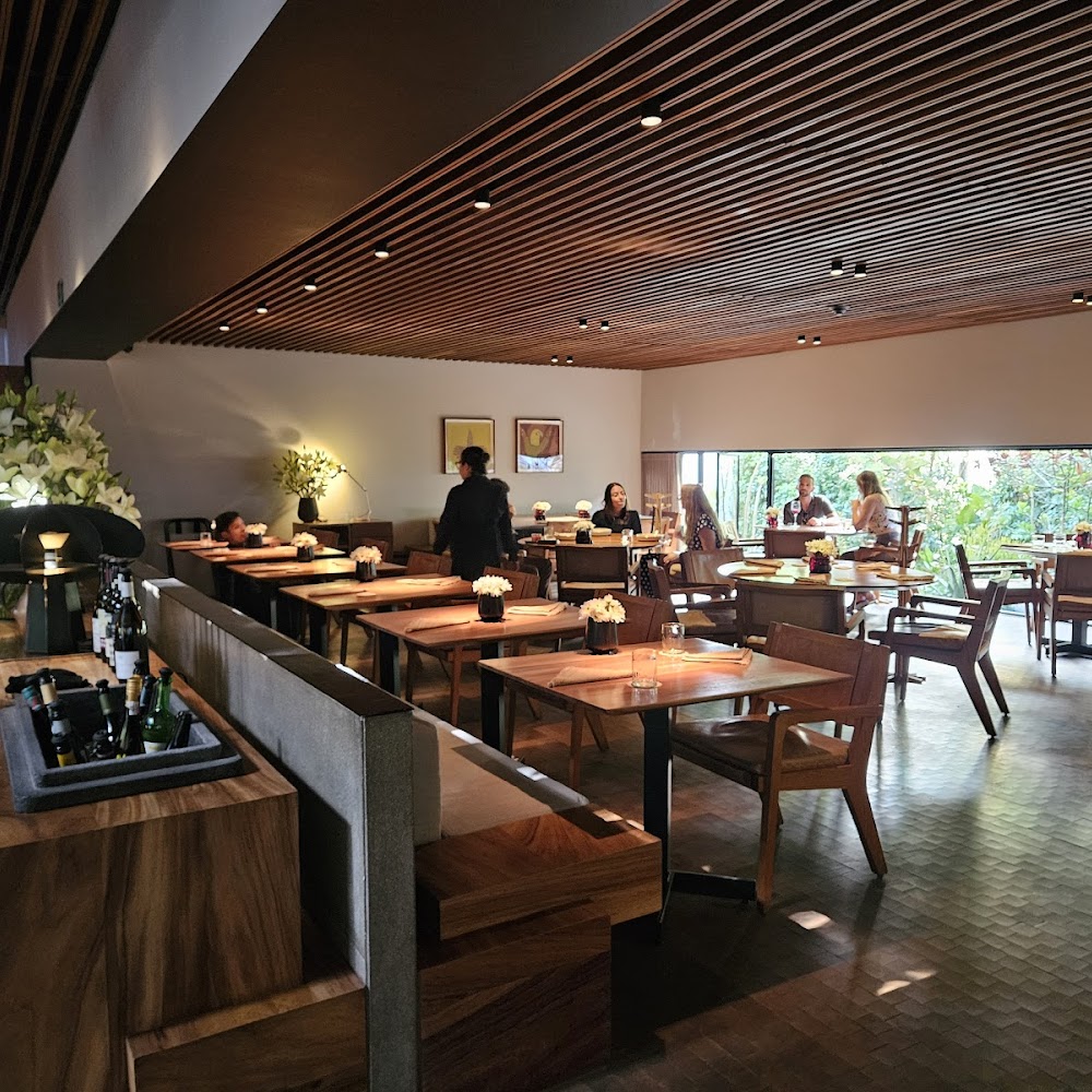 Pujol in Polanco — restaurant in Mexico City