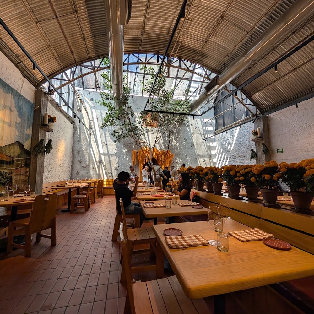 Maximo Bistrot in Roma Norte — restaurant in Mexico City