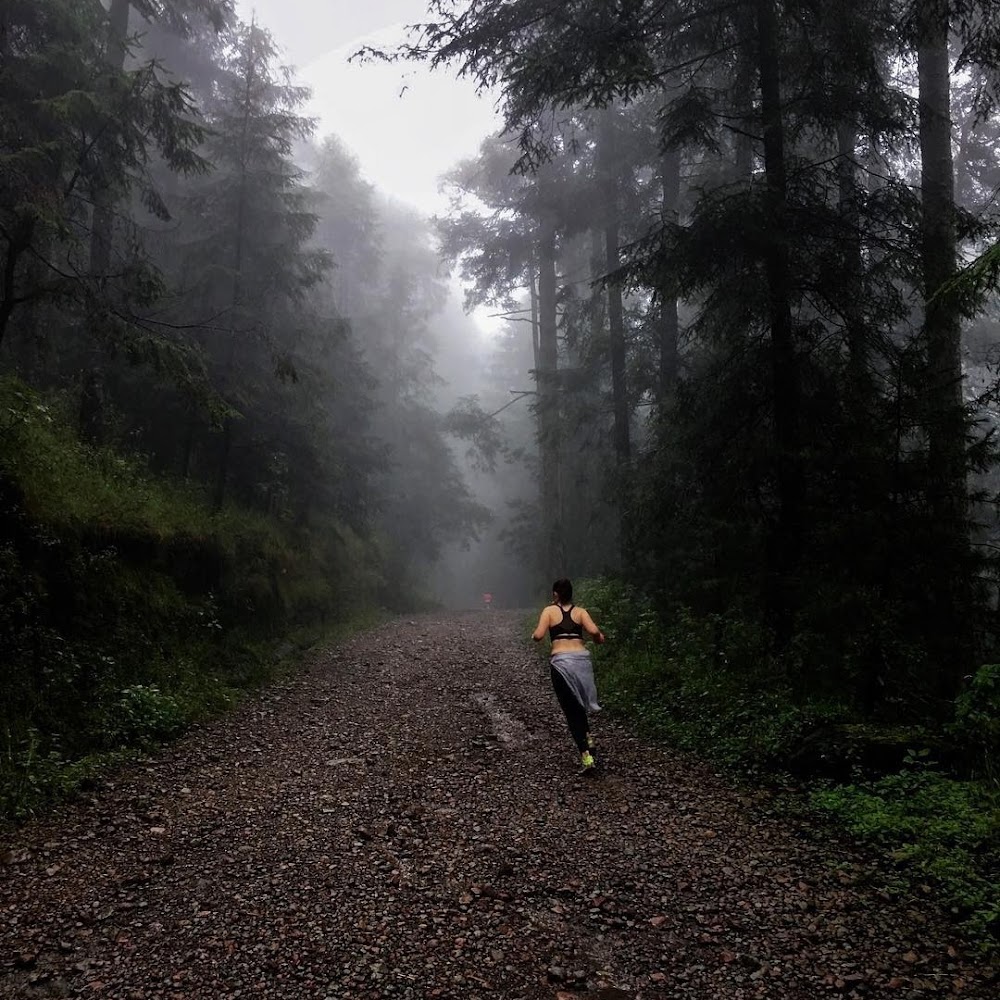 Desierto de los Leones in Cuajimalpa — activity in Mexico