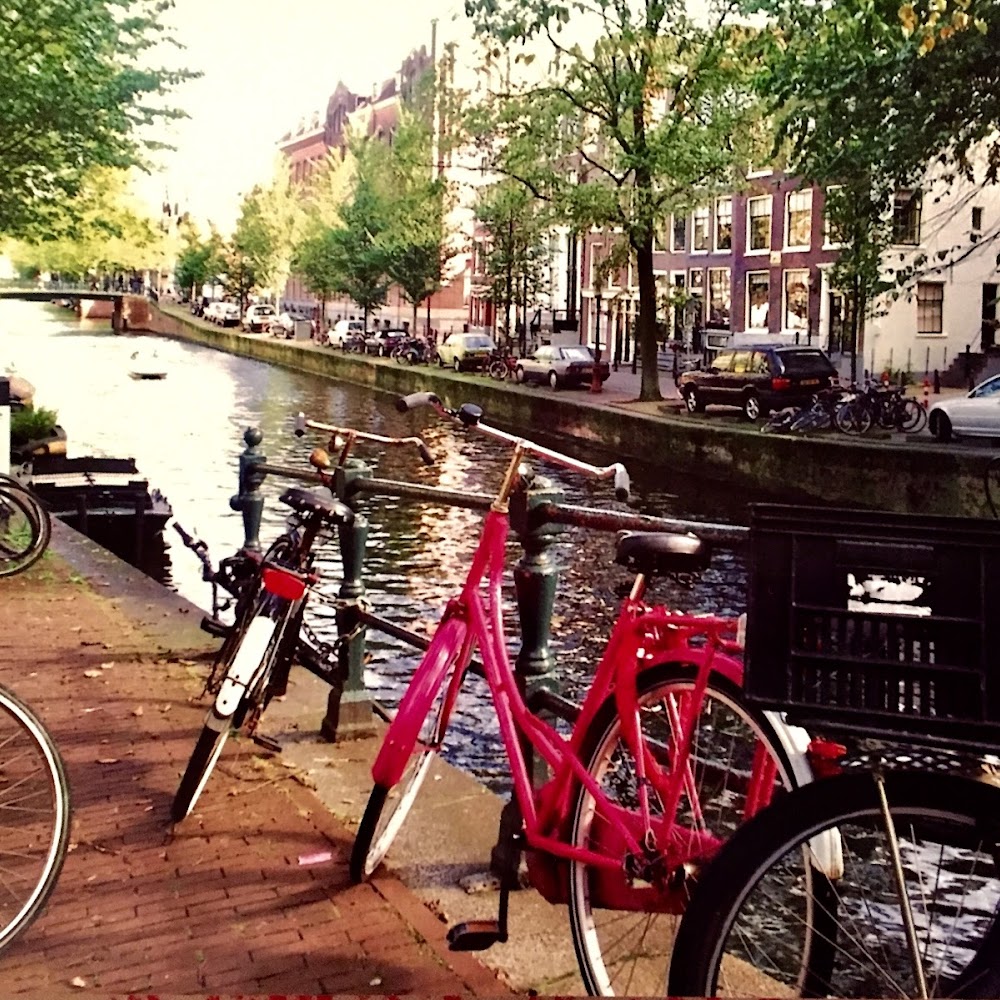 Red Light District Tour in Red Light District — activity in Netherlands
