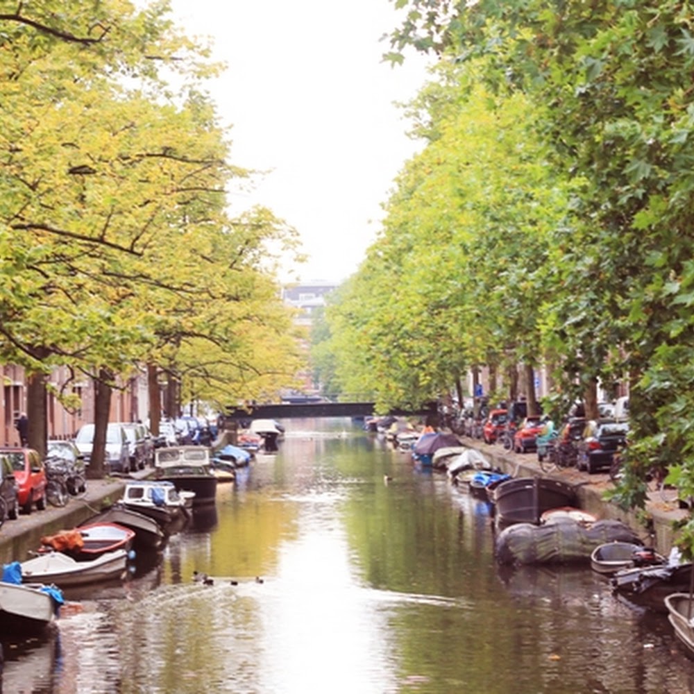 Red Light District Walking Tour in De Wallen — activity in Netherlands