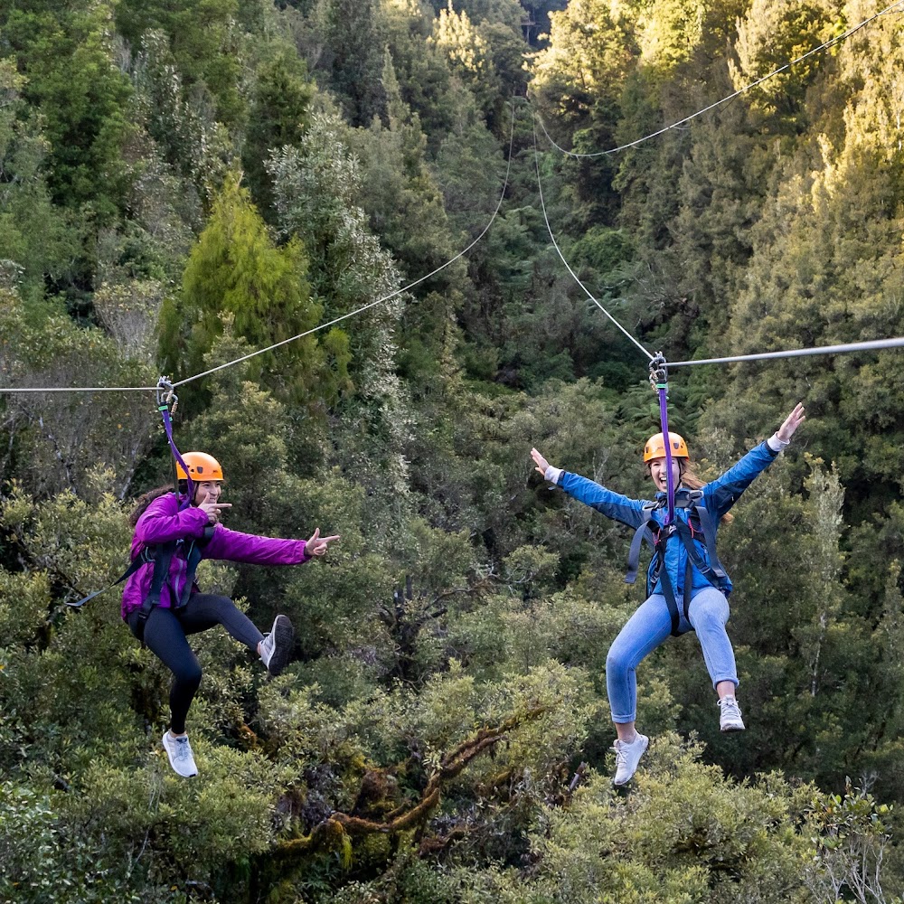 Rotorua Canopy Tours in Dansey Road — activity in New Zealand