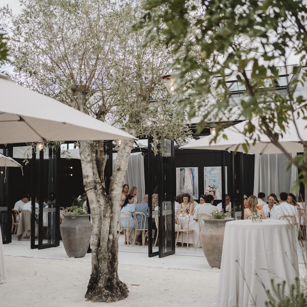 Terrace Kitchen in Central Rotorua — restaurant in New Zealand