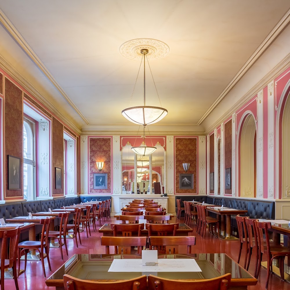 Café Louvre in New Town — cafe in Prague