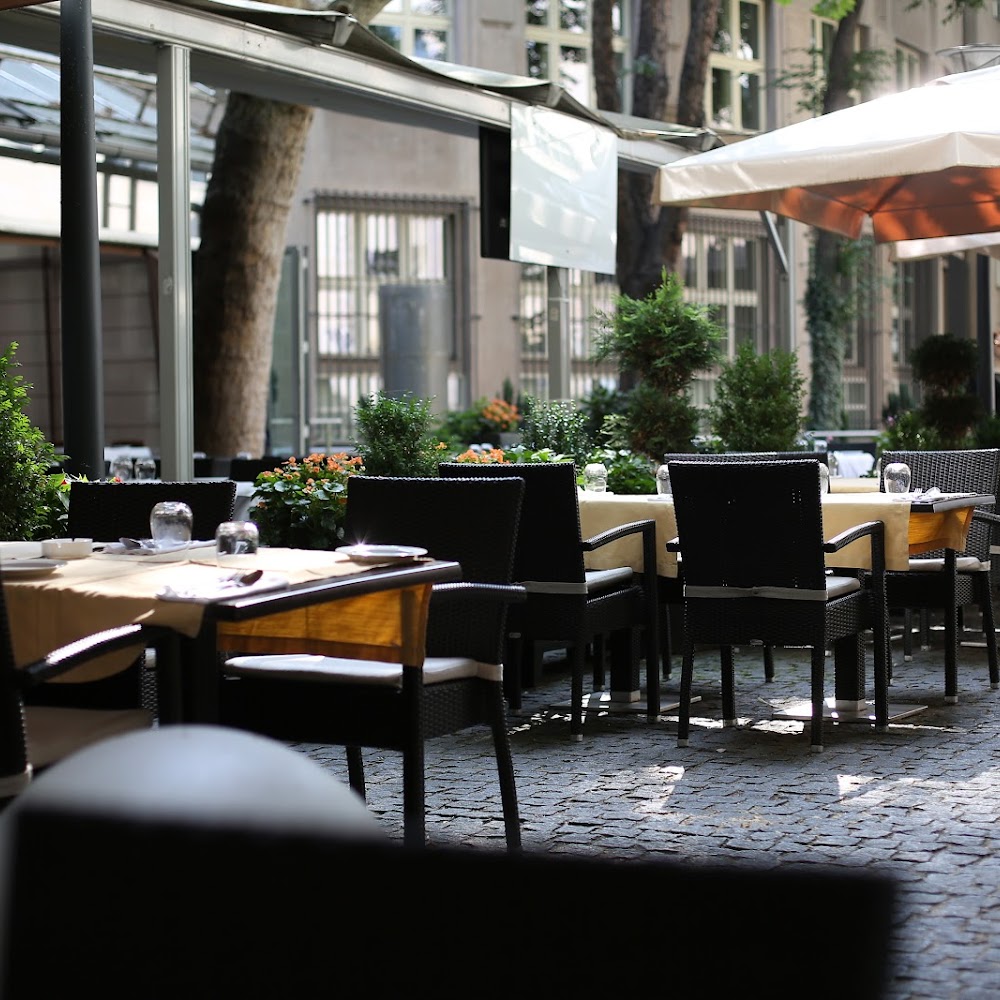 Kogo in New Town — restaurant in Prague