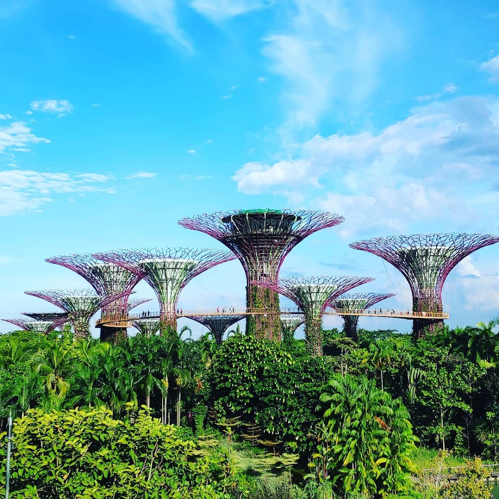 Singapore travel guide — popular destinations and activities
