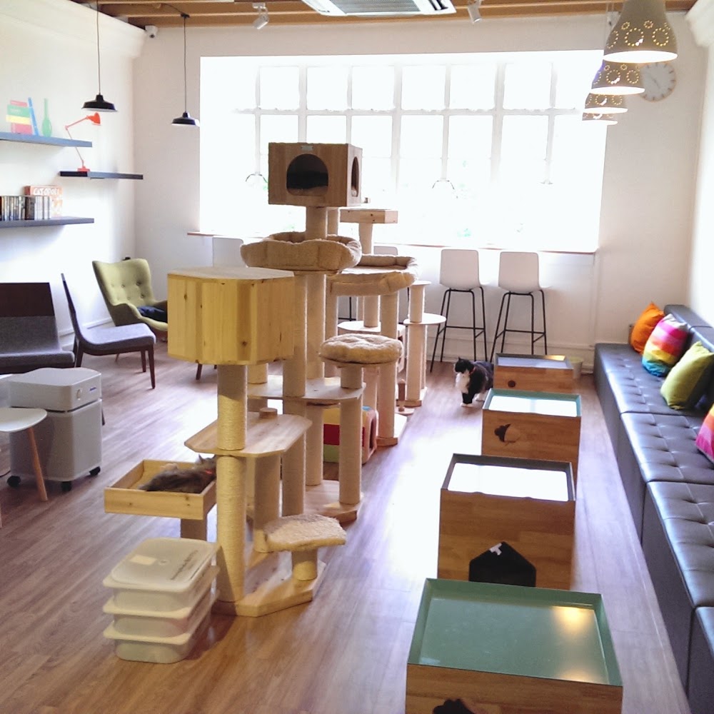 Cat Cafe Neko no Niwa in Boat Quay — cafe in Singapore