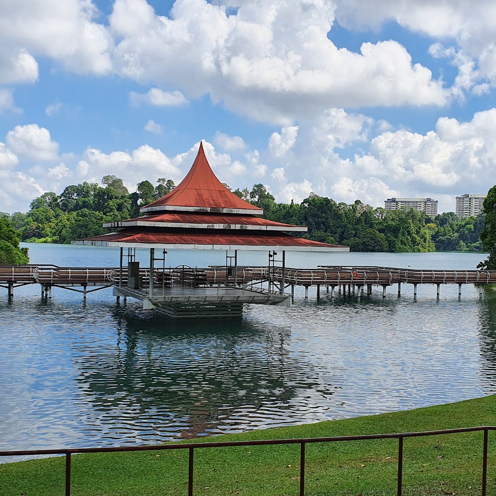 MacRitchie Reservoir Park in Central Catchment — activity in Singapore