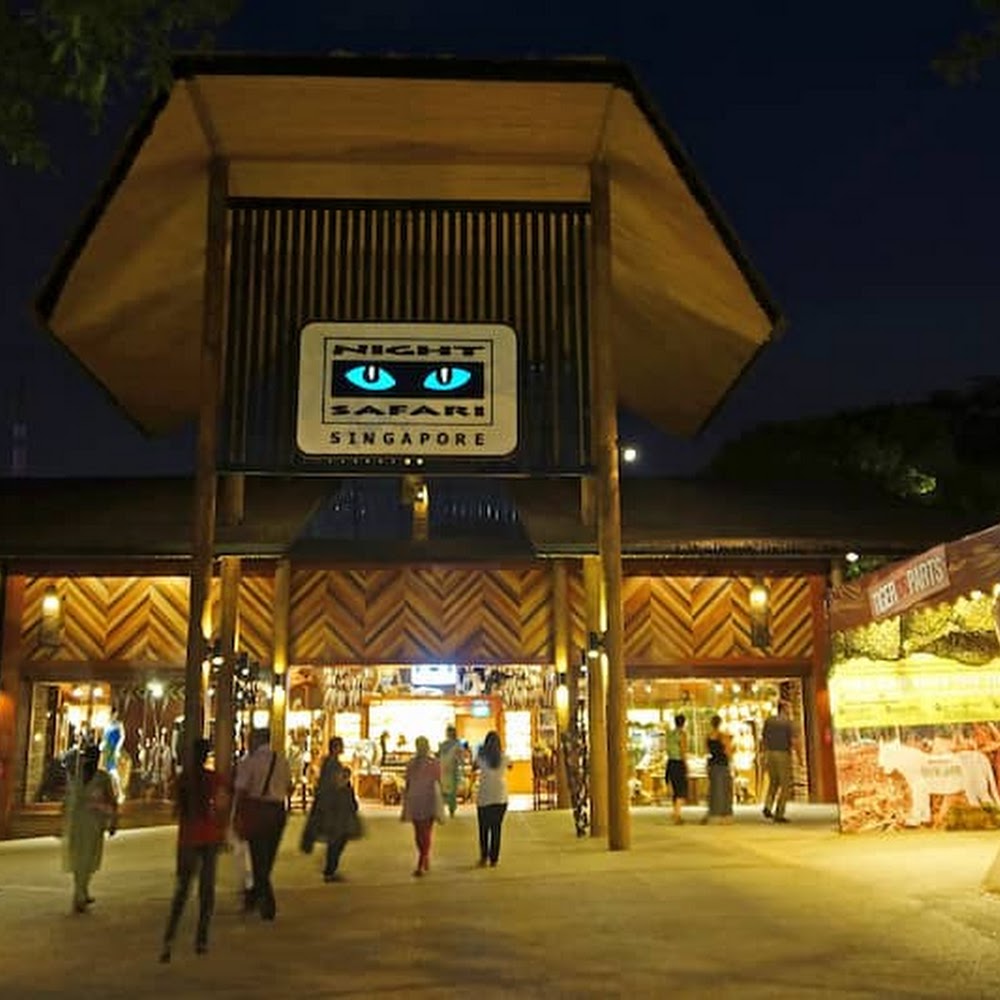 Night Safari in Mandai — activity in Singapore