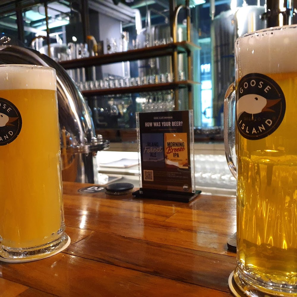 Jeju Beer Company Gangnam in Gangnam-gu — bar in Seoul