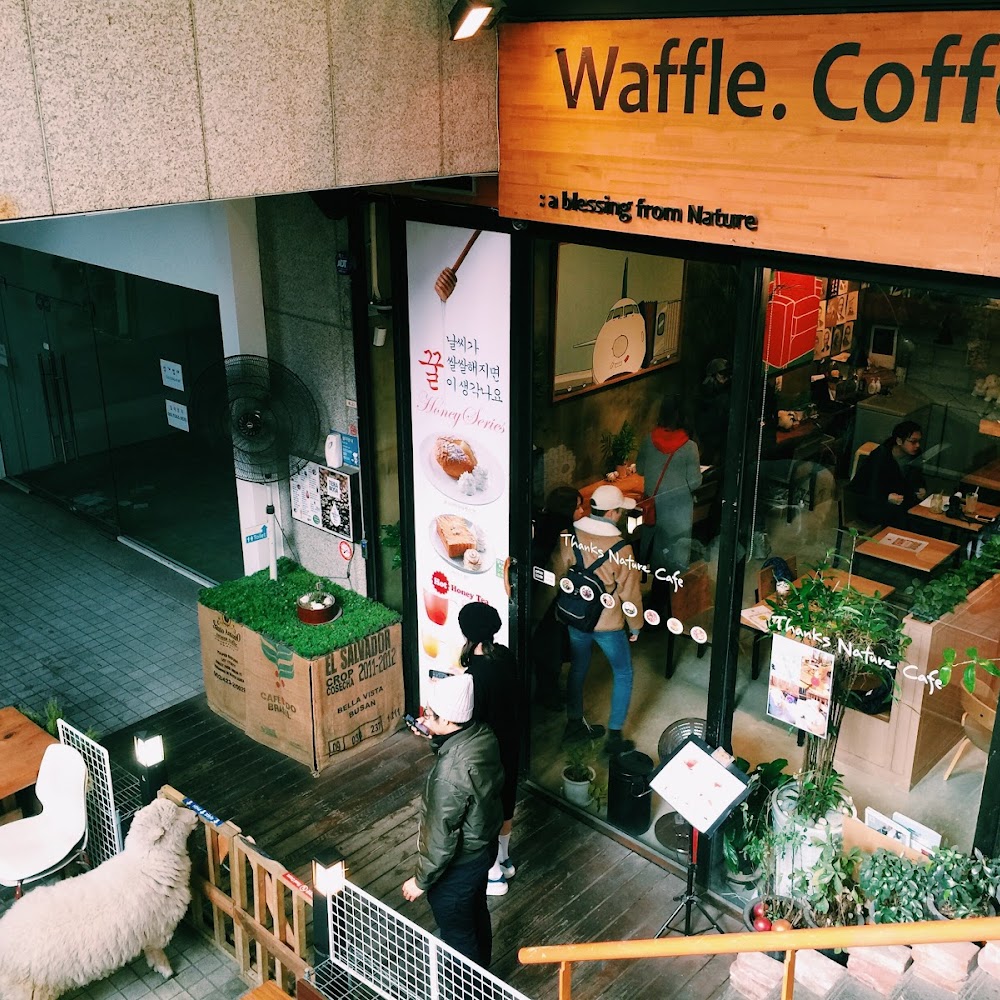 Thanks Nature Cafe in Hongdae — cafe in South Korea