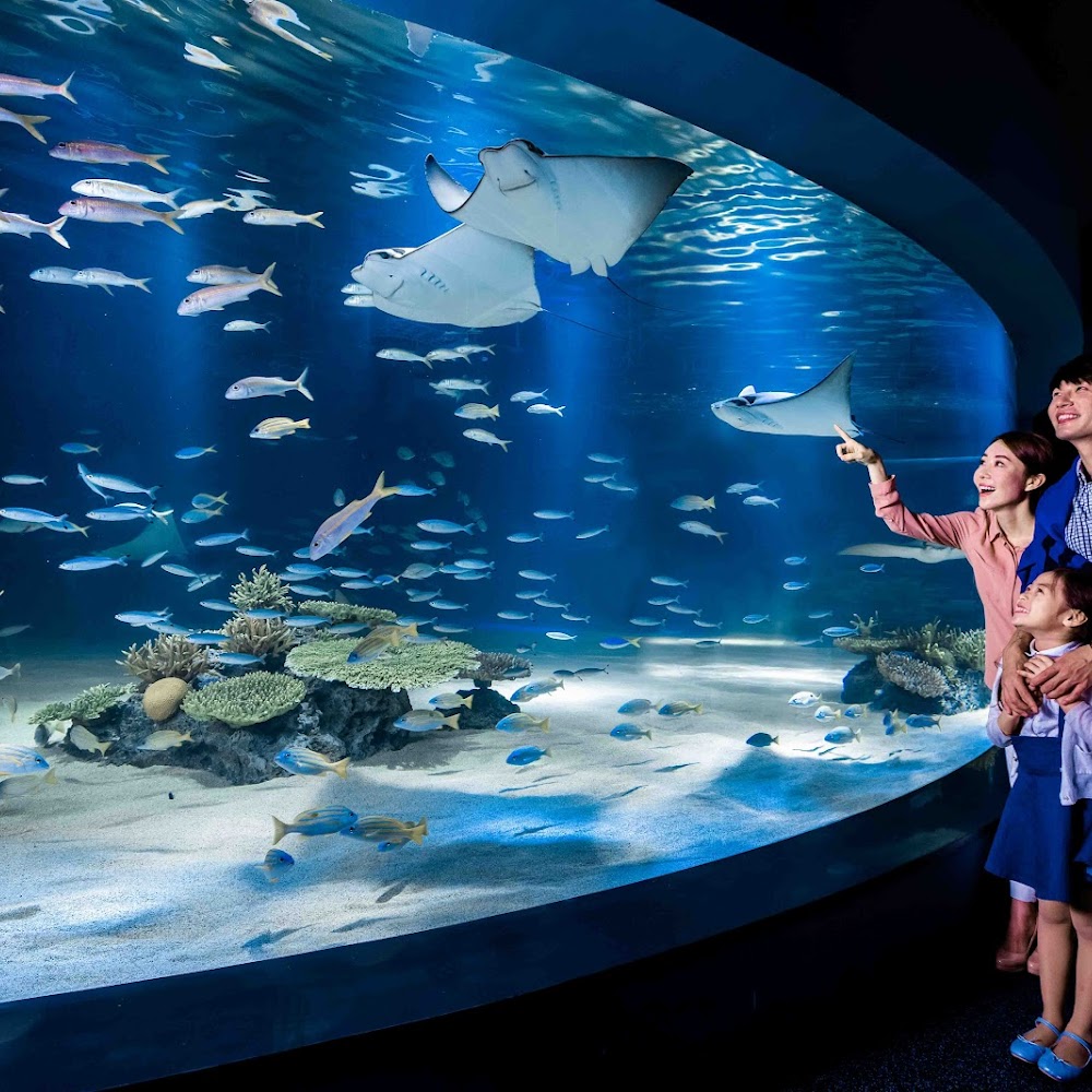 63 Building Aquarium in Yeongdeungpo-gu — activity in South Korea