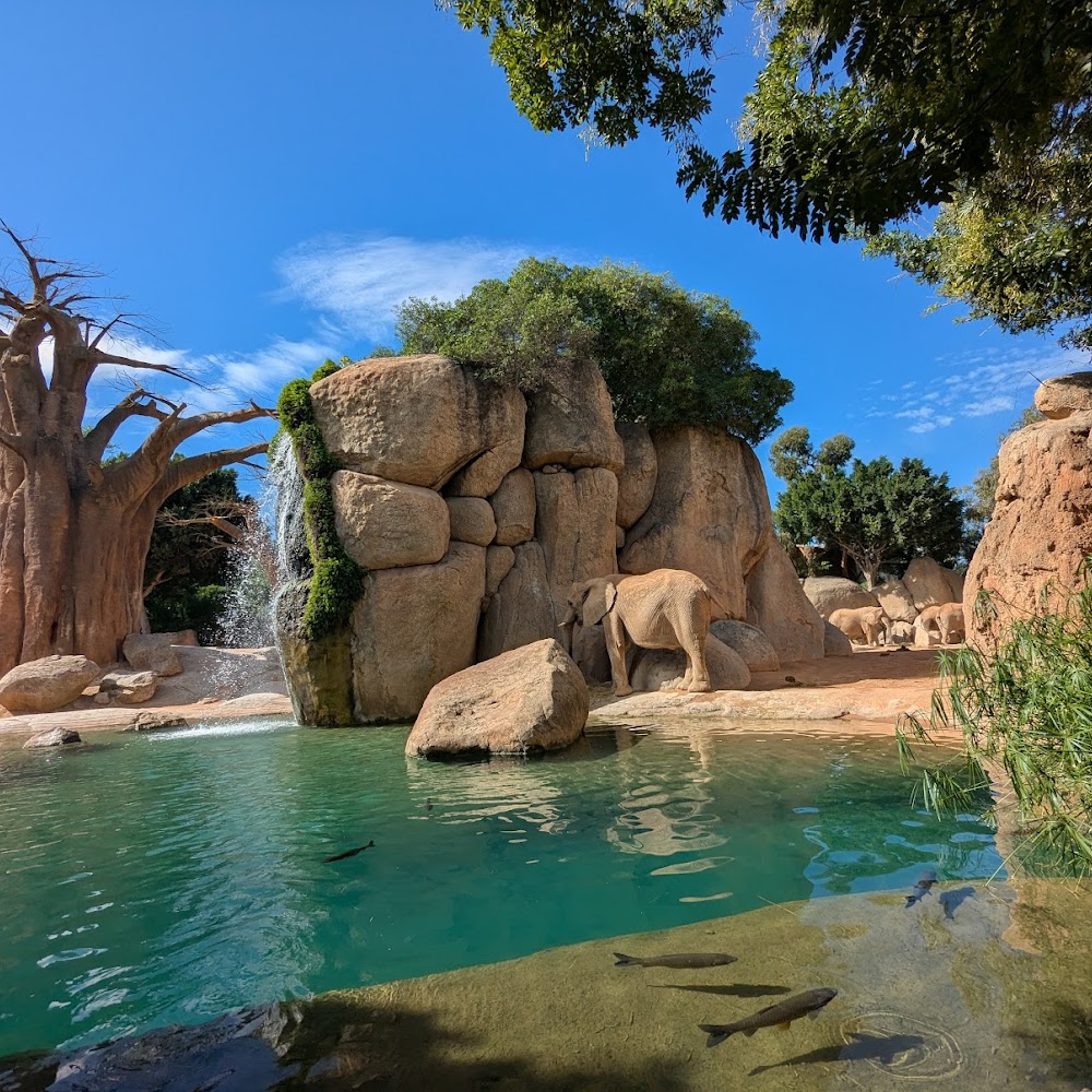 Bioparc Valencia in Benimàmet — activity in Spain