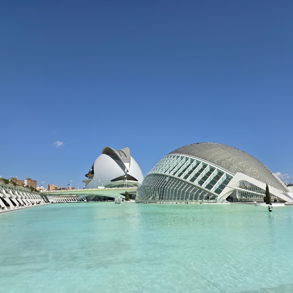 City of Arts and Sciences in Quatre Carreres — activity in Spain