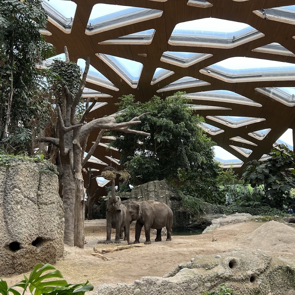 Zurich Zoo in Fluntern — activity in Switzerland
