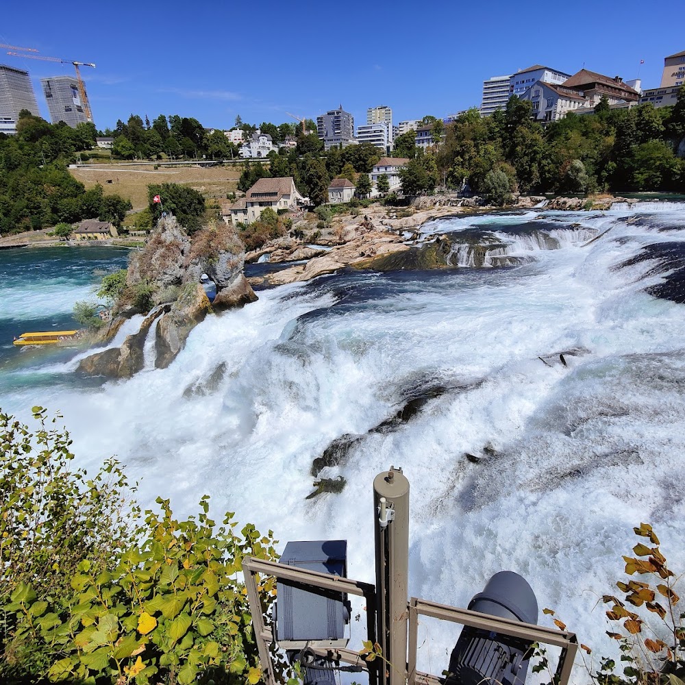 Rhine Falls Day Trip in Schaffhausen — activity in Switzerland