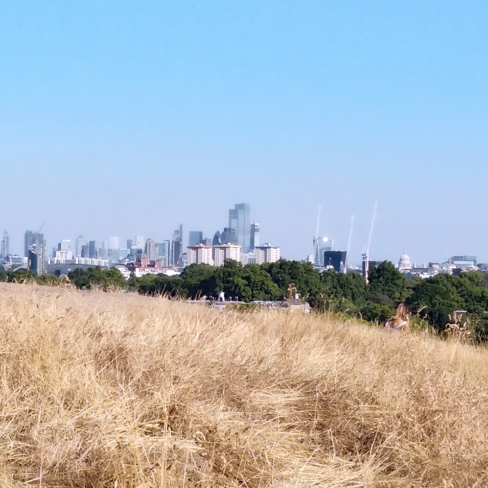 Primrose Hill in Primrose Hill — activity in United Kingdom