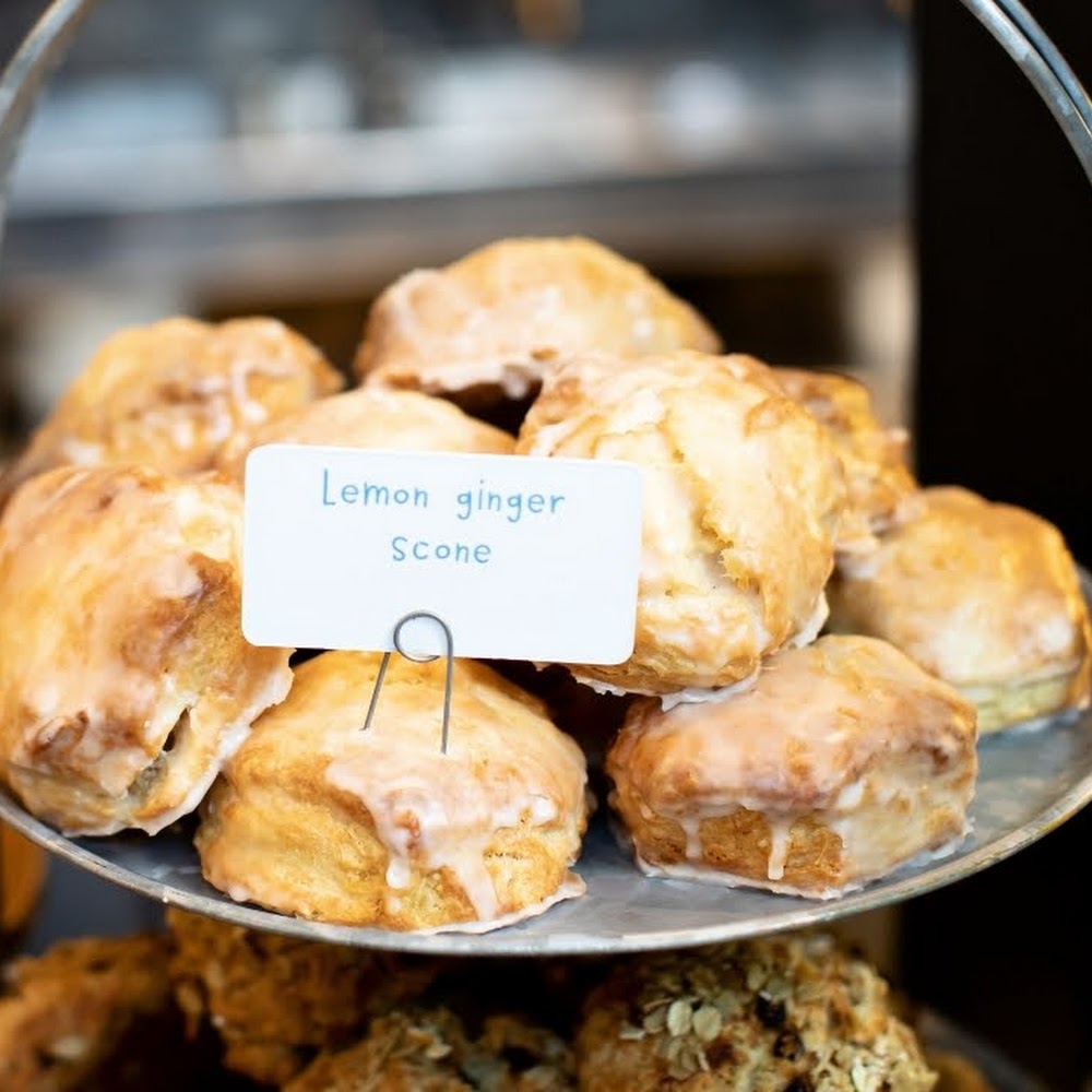 Back Bay neighborhood in Boston — things to do and see