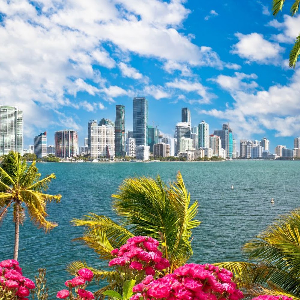 Biscayne Bay Boat Tour in Downtown — activity in Miami