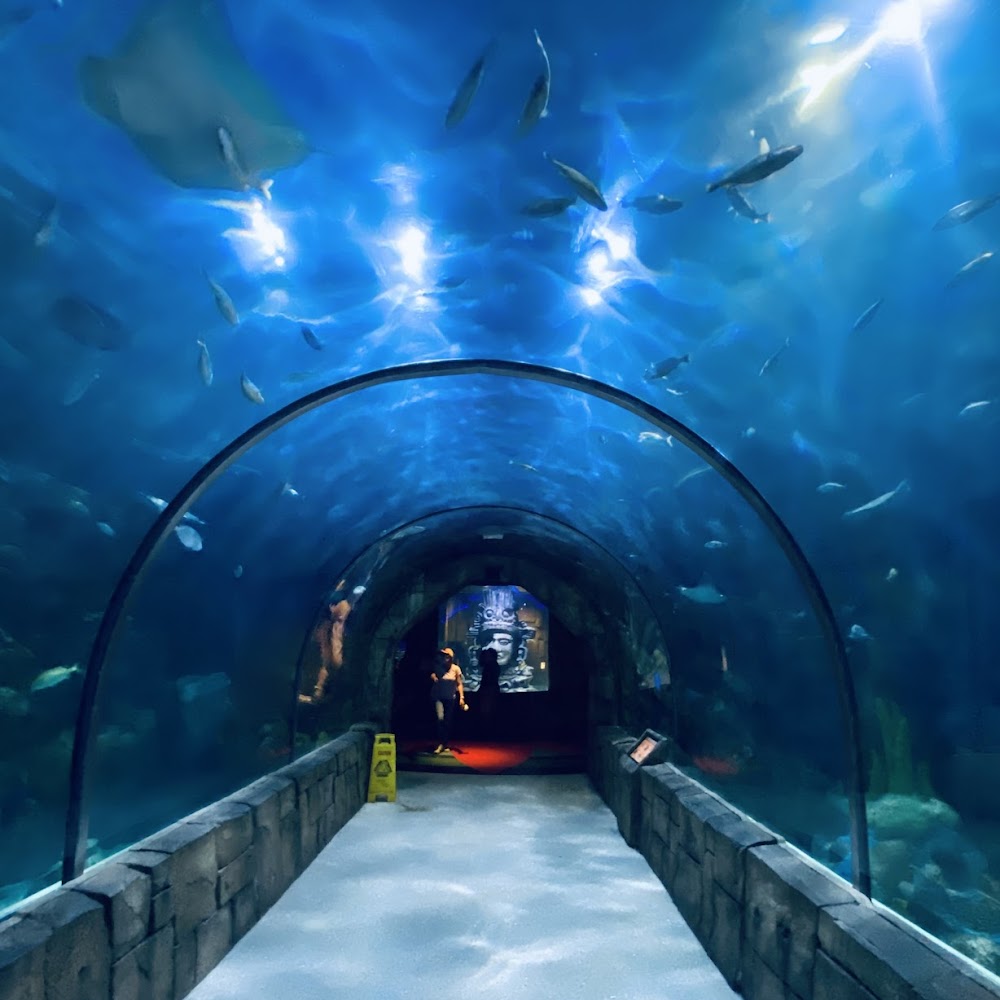 Audubon Aquarium in French Quarter — activity in New Orleans