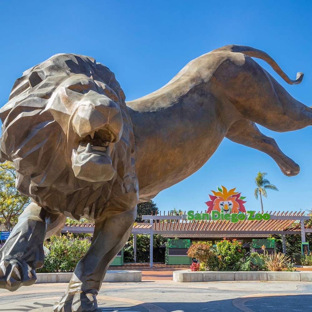 Best things to do in San Diego — top-rated attraction